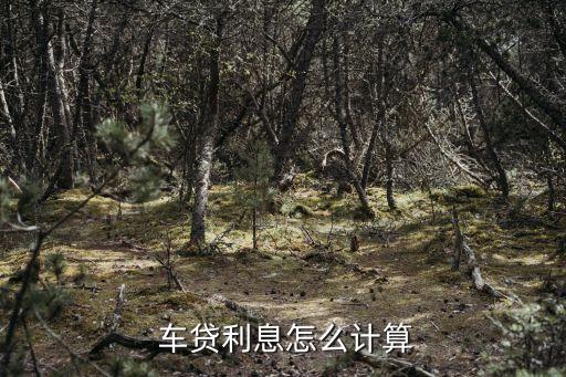 车抵贷哪家银行利息低(低利息抵押贷款)？ (http://www.qacrysj.cn/) 知识问答 第1张
