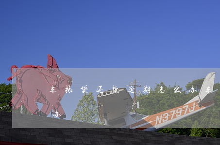 车抵贷是怎么还款的(车抵贷正常还款会有风险吗)？ (http://www.qacrysj.cn/) 知识问答 第2张
