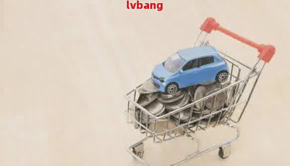 有车辆抵押贷款(抵押贷款车辆有什么影响)？ (http://www.qacrysj.cn/) 知识问答 第1张