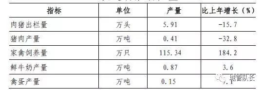 上海私家车抵押(上海抵押车私人抵押)？ (http://www.qacrysj.cn/) 知识问答 第2张