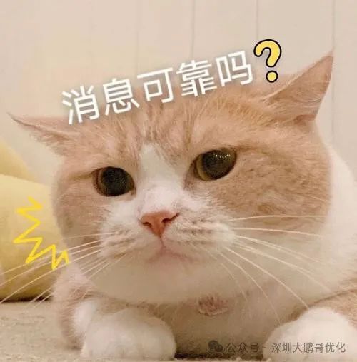 车辆抵押贷款必须要绿本吗(抵押车子绿本也要看征信吗)？ (http://www.qacrysj.cn/) 知识问答 第2张