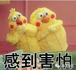 车辆抵押贷款备用钥匙(抵押备用钥匙贷款车辆怎么办)？ (http://www.qacrysj.cn/) 知识问答 第2张