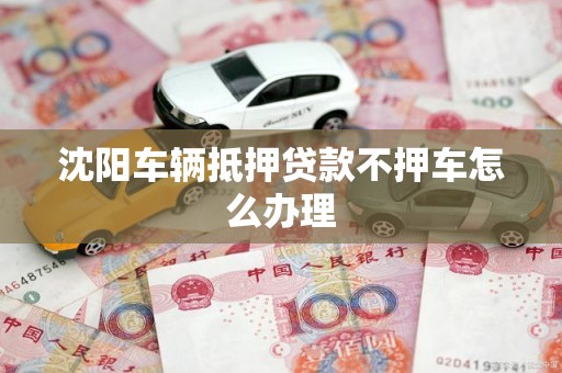 车辆不押车抵押借贷(抵押贷款车辆)？ (http://www.qacrysj.cn/) 知识问答 第1张