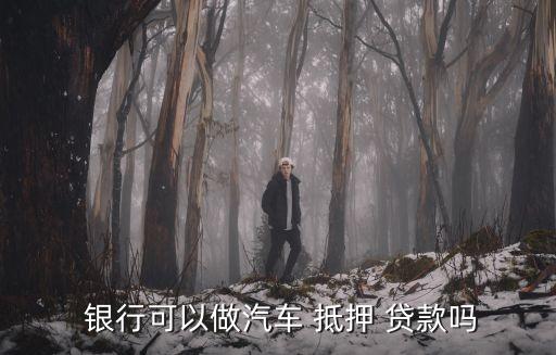 车抵押贷额度(抵押车贷款金额)？ (http://www.qacrysj.cn/) 知识问答 第3张