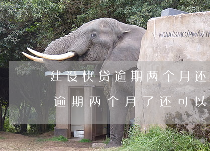 汽车抵押快贷(抵押车贷款有什么坑)？ (http://www.qacrysj.cn/) 知识问答 第1张