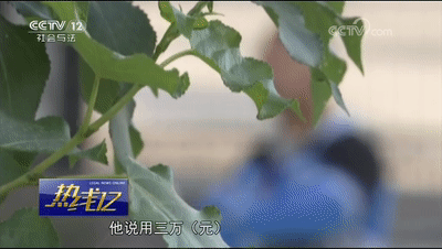 车辆抵押贷款套路(抵押车套路贷怎么报案)？ (http://www.qacrysj.cn/) 知识问答 第4张