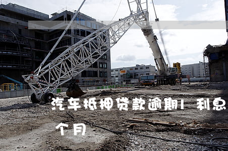 车抵押贷款的利息(抵押车子贷款利息)？ (http://www.qacrysj.cn/) 知识问答 第2张
