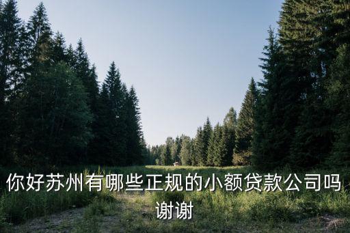 苏州无抵押信用贷款(苏州正规贷款企业)？ (http://www.qacrysj.cn/) 知识问答 第1张