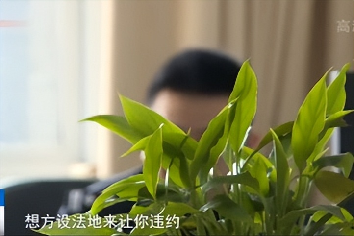 附近车辆抵押贷款(内江市汽车服务公司骗局)？ (http://www.qacrysj.cn/) 知识问答 第1张