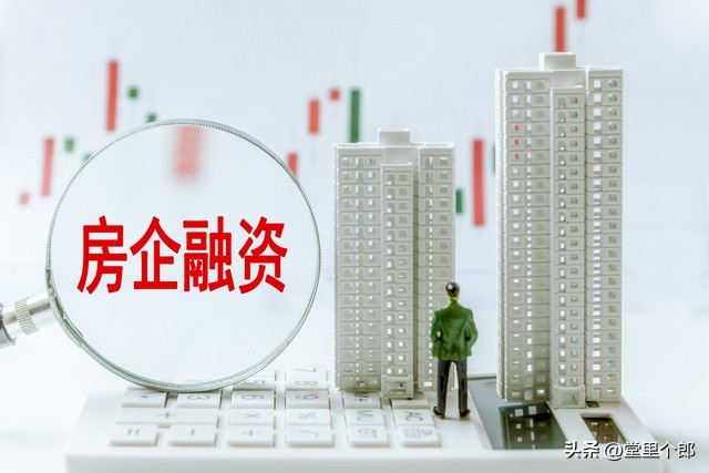 20万车抵押贷款能贷多少(房贷额度影响因素分析)？ (http://www.qacrysj.cn/) 知识问答 第3张