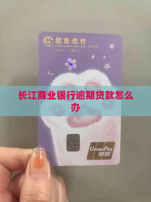 车辆 抵押贷款咨询(逾期贷款处理方法)？ (http://www.qacrysj.cn/) 知识问答 第2张